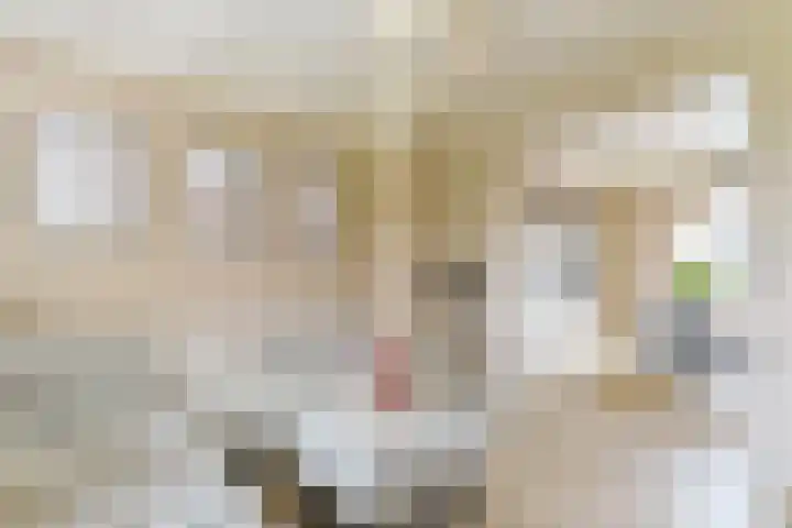Emmakade 13 Bodegraven thumbnail 17