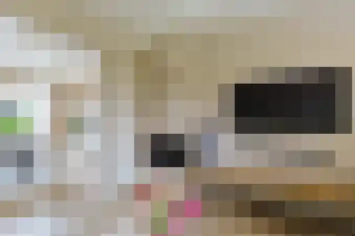 Emmakade 13 Bodegraven thumbnail 18