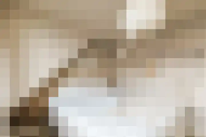 Emmakade 13 Bodegraven thumbnail 27