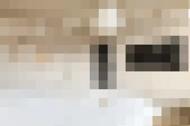 Emmakade 13 Bodegraven thumbnail 28