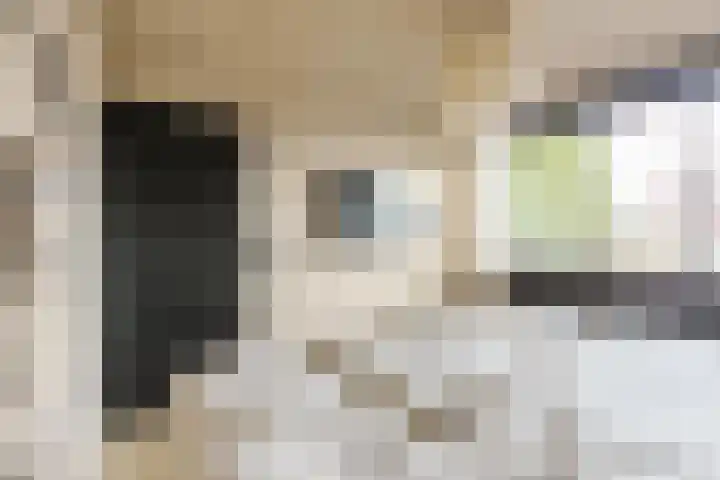 Emmakade 13 Bodegraven thumbnail 29