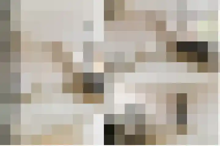 Emmakade 13 Bodegraven thumbnail 35