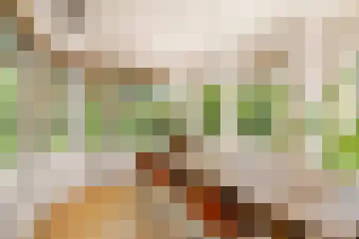 Emmakade 14 Amstelveen thumbnail 17
