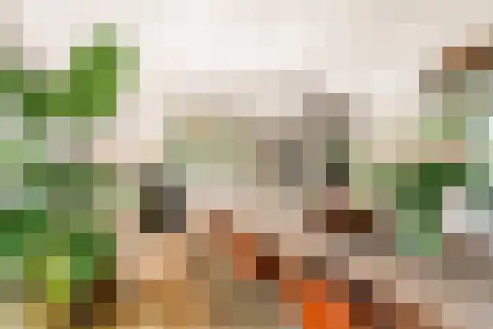 Emmakade 14 Amstelveen thumbnail 19