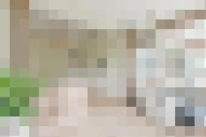Emmakade 14 Amstelveen thumbnail 44