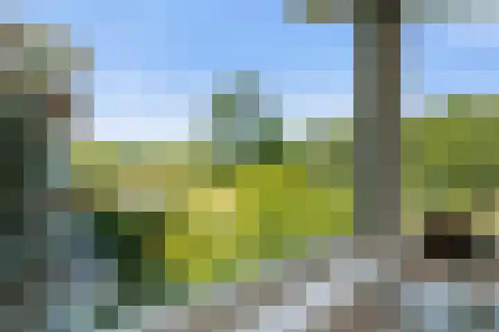 Emmakade 14 Amstelveen thumbnail 47