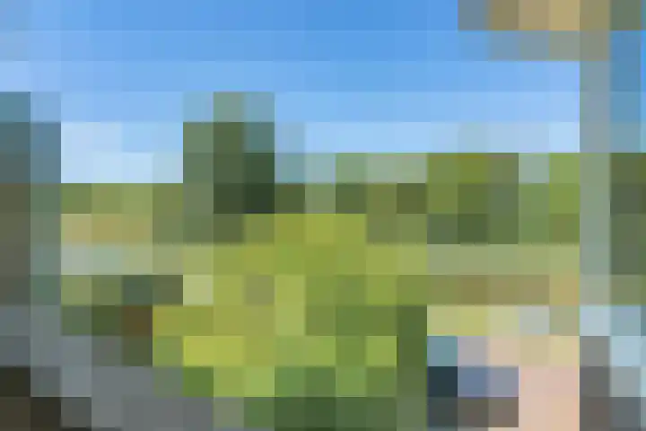 Emmakade 14 Amstelveen thumbnail 51