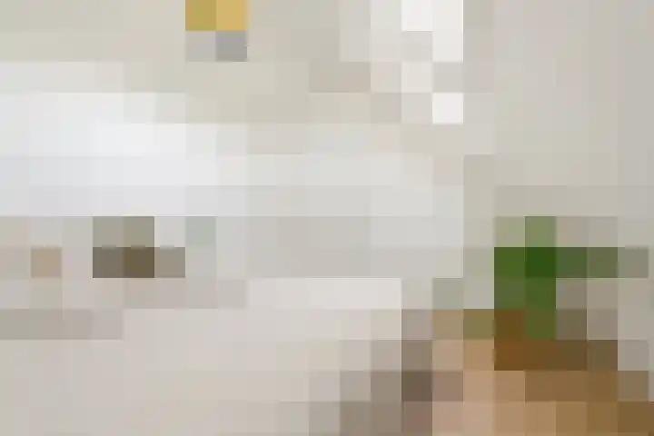 Emmakade 14 Amstelveen thumbnail 63