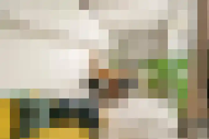 Emmakade 14 Amstelveen thumbnail 68