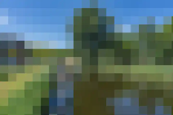 Emmakade 14 Amstelveen thumbnail 77