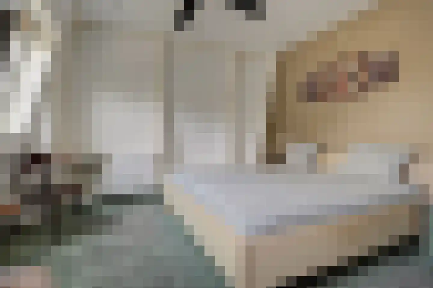 Emmakade 140 Bodegraven thumbnail 28