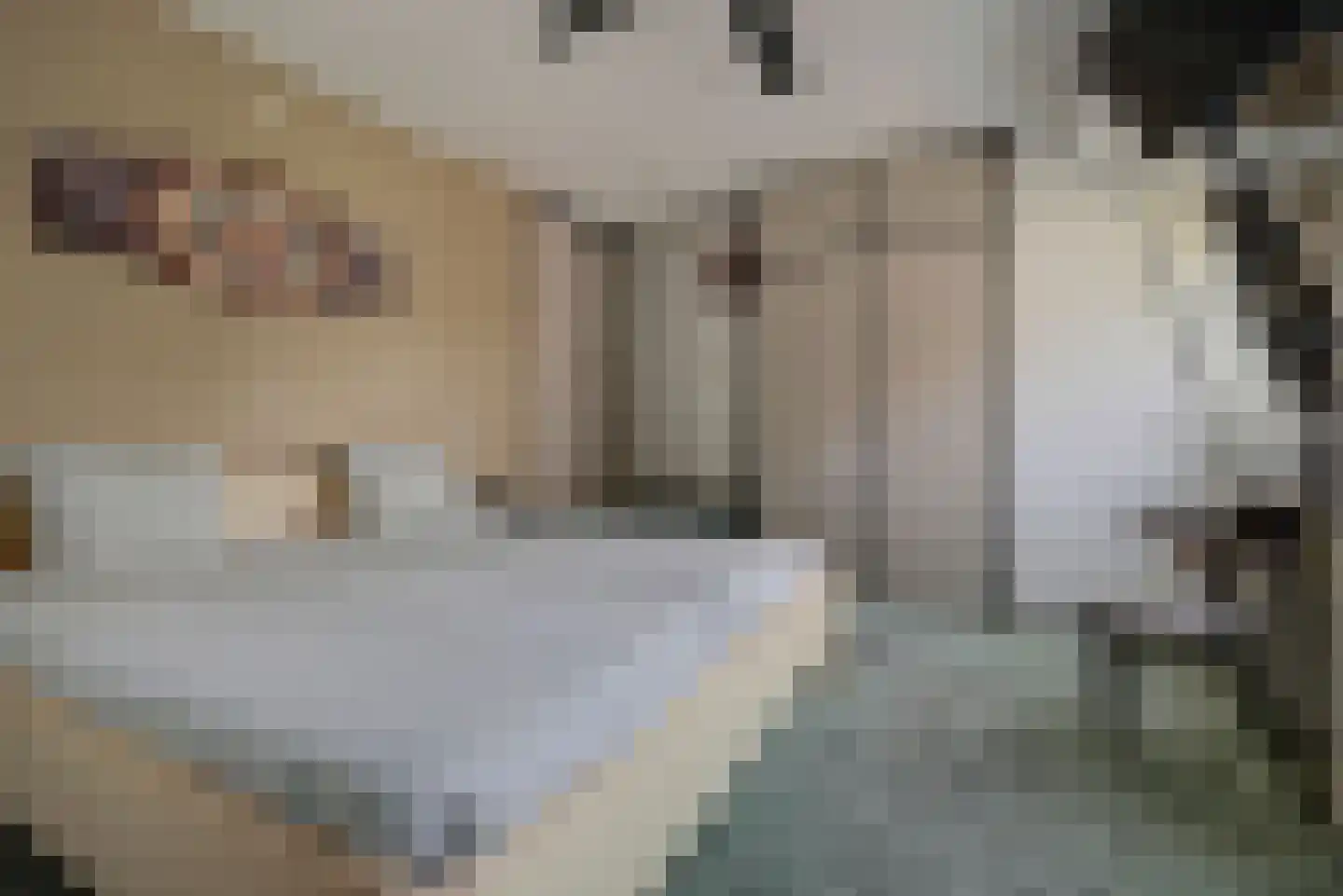 Emmakade 140 Bodegraven thumbnail 29