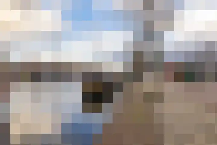 Emmakade 142 Leeuwarden thumbnail 10
