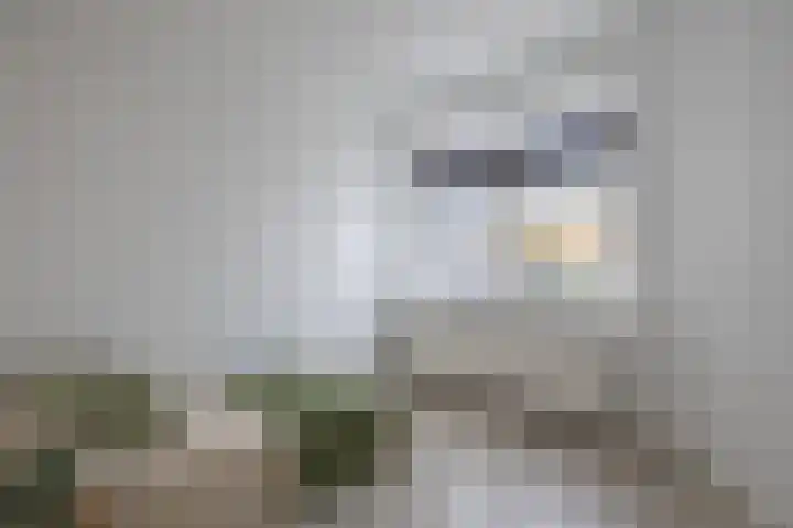 Emmakade 142 Leeuwarden thumbnail 36