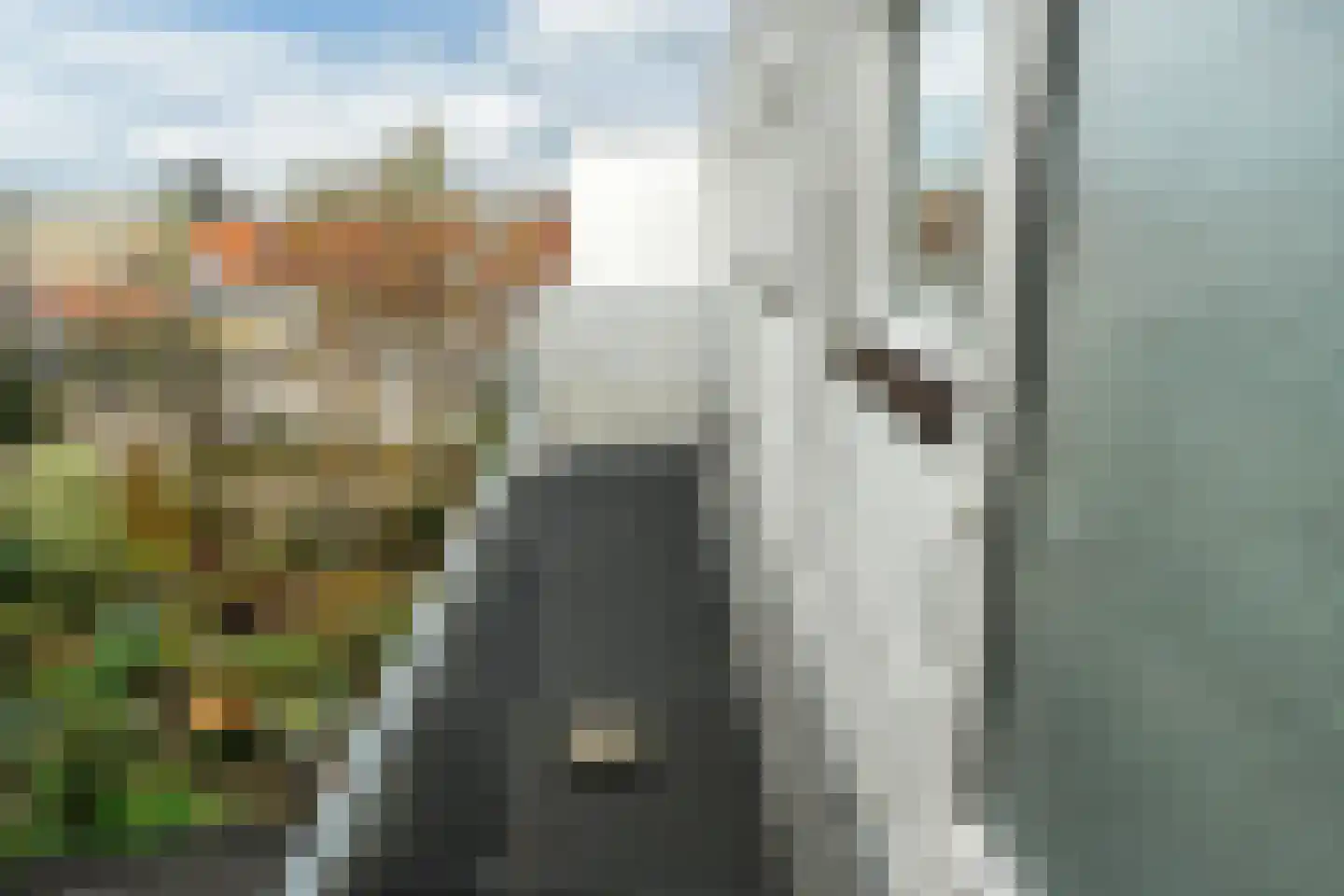 Emmakade 147 Leeuwarden thumbnail 31