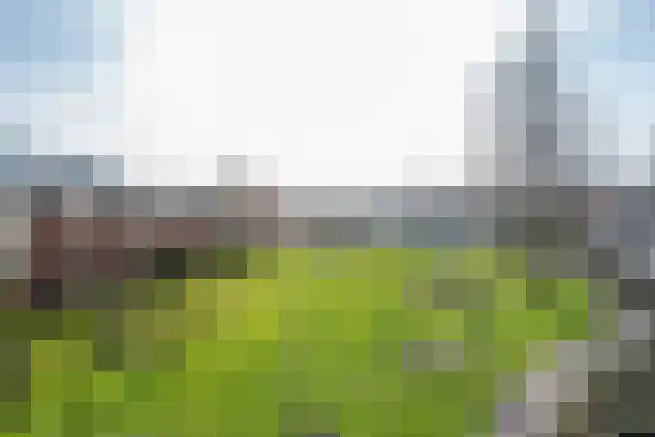Emmakade 151 a Leeuwarden thumbnail 6