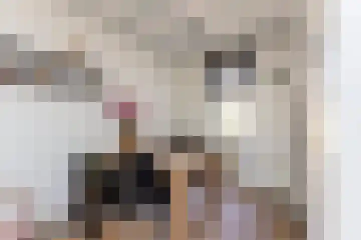 Emmakade 157 Bodegraven thumbnail 10