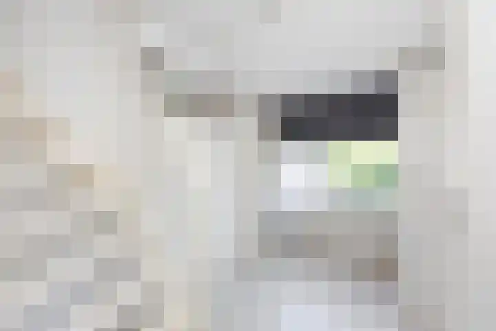 Emmakade 157 Bodegraven thumbnail 24