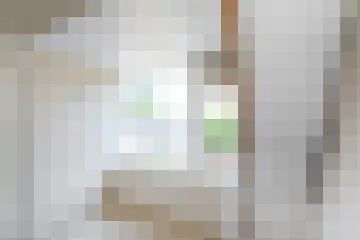 Emmakade 157 Bodegraven thumbnail 31