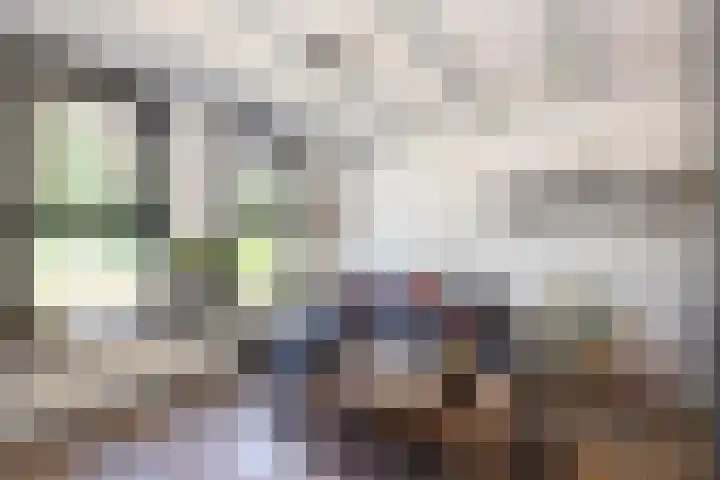 Emmakade 157 Bodegraven thumbnail 6