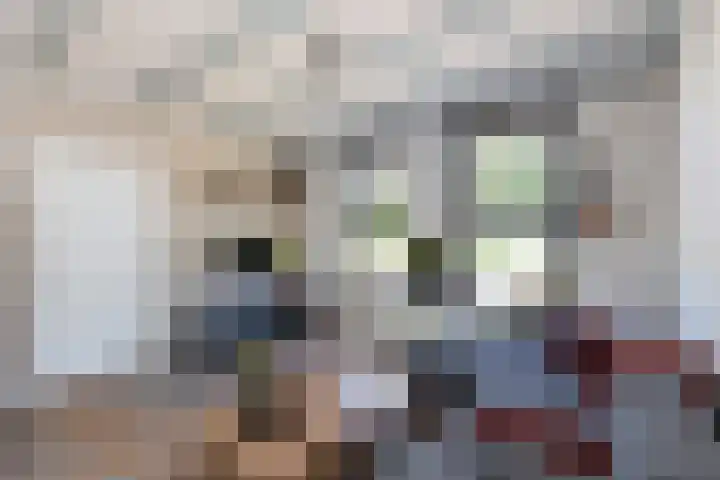 Emmakade 157 Bodegraven thumbnail 7