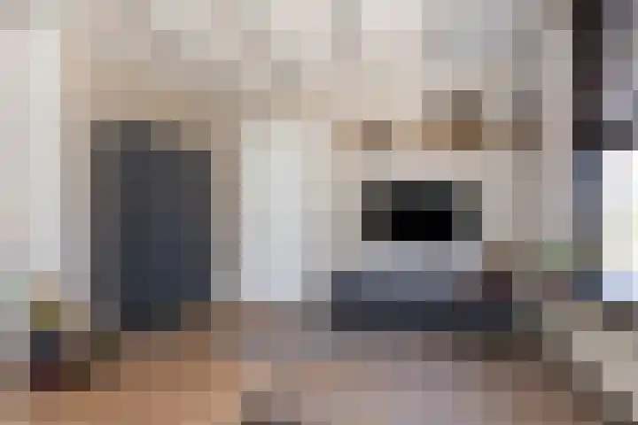 Emmakade 157 Bodegraven thumbnail 8