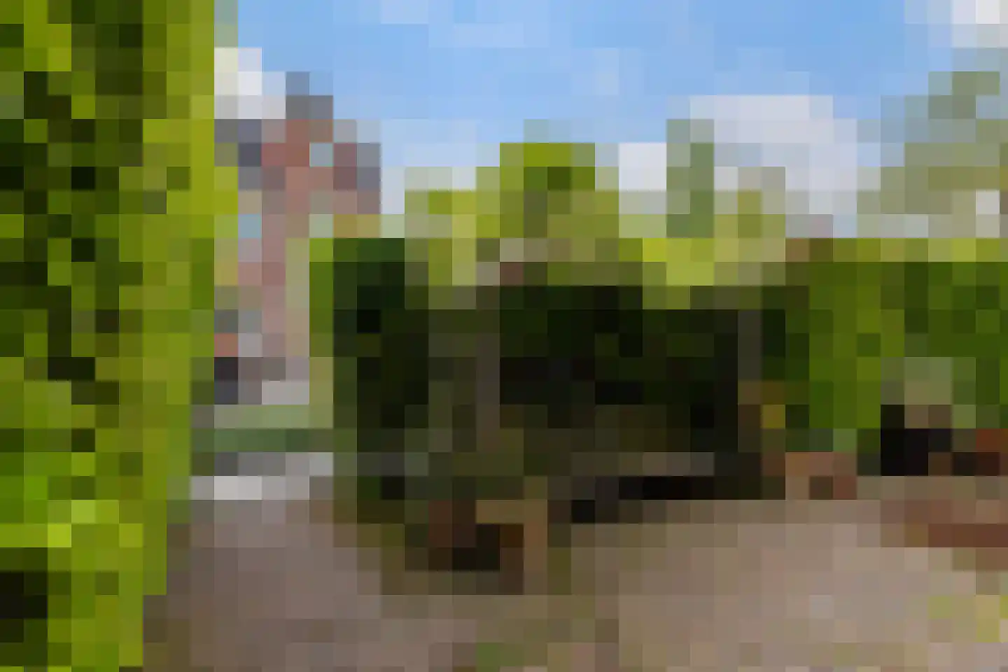 Emmakade 18 Leeuwarden thumbnail 12