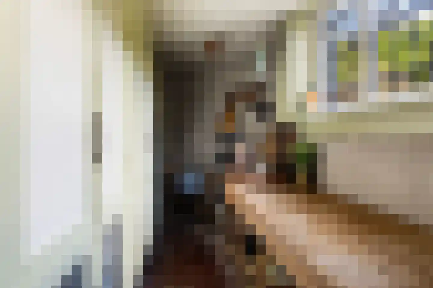 Emmakade 18 Leeuwarden thumbnail 33