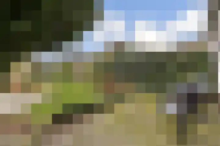 Emmakade 3 Vlaardingen thumbnail 11