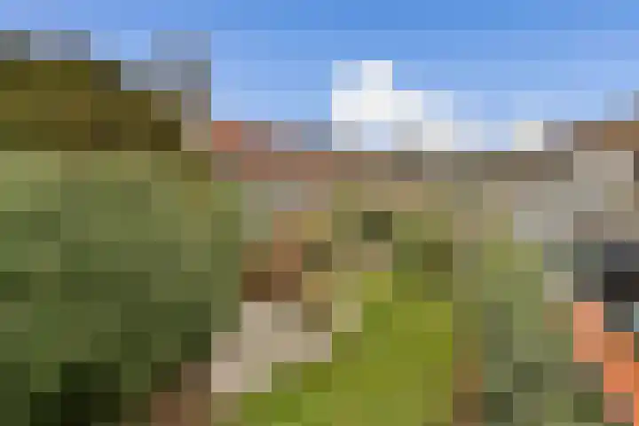 Emmakade 3 Vlaardingen thumbnail 22