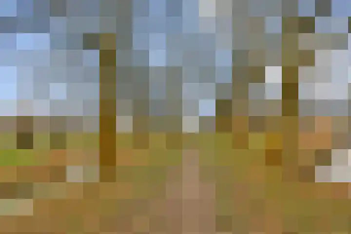 Emmakade 3 Vlaardingen thumbnail 37