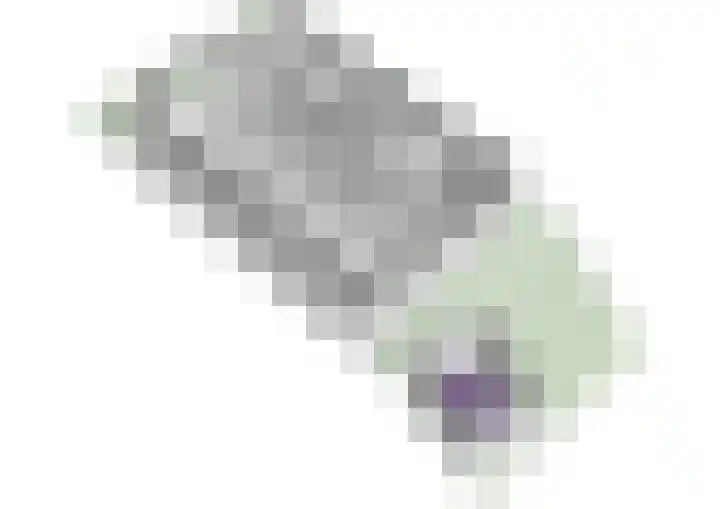 Emmakade 3 Vlaardingen thumbnail 43