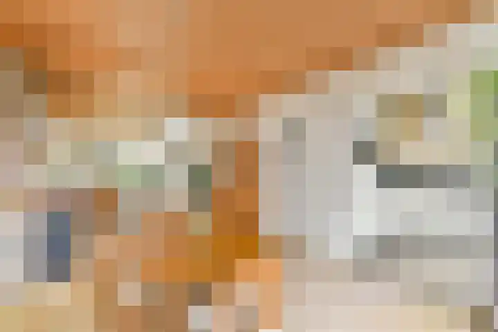 Emmakade 3 Vlaardingen thumbnail 9