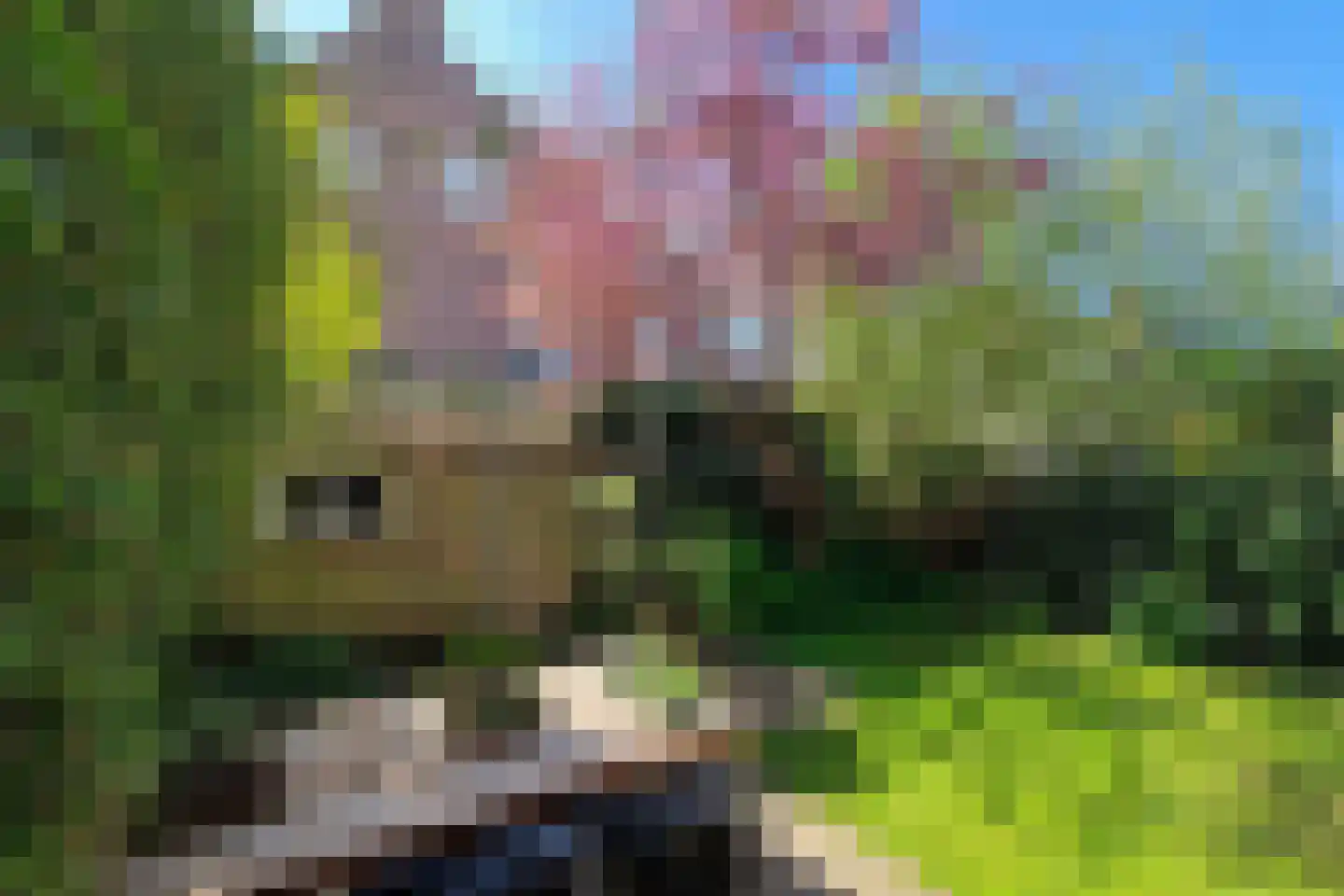 Emmakade 32 Amstelveen thumbnail 27