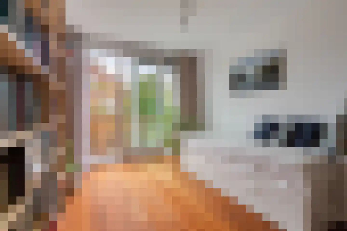 Emmakade 32 Amstelveen thumbnail 34