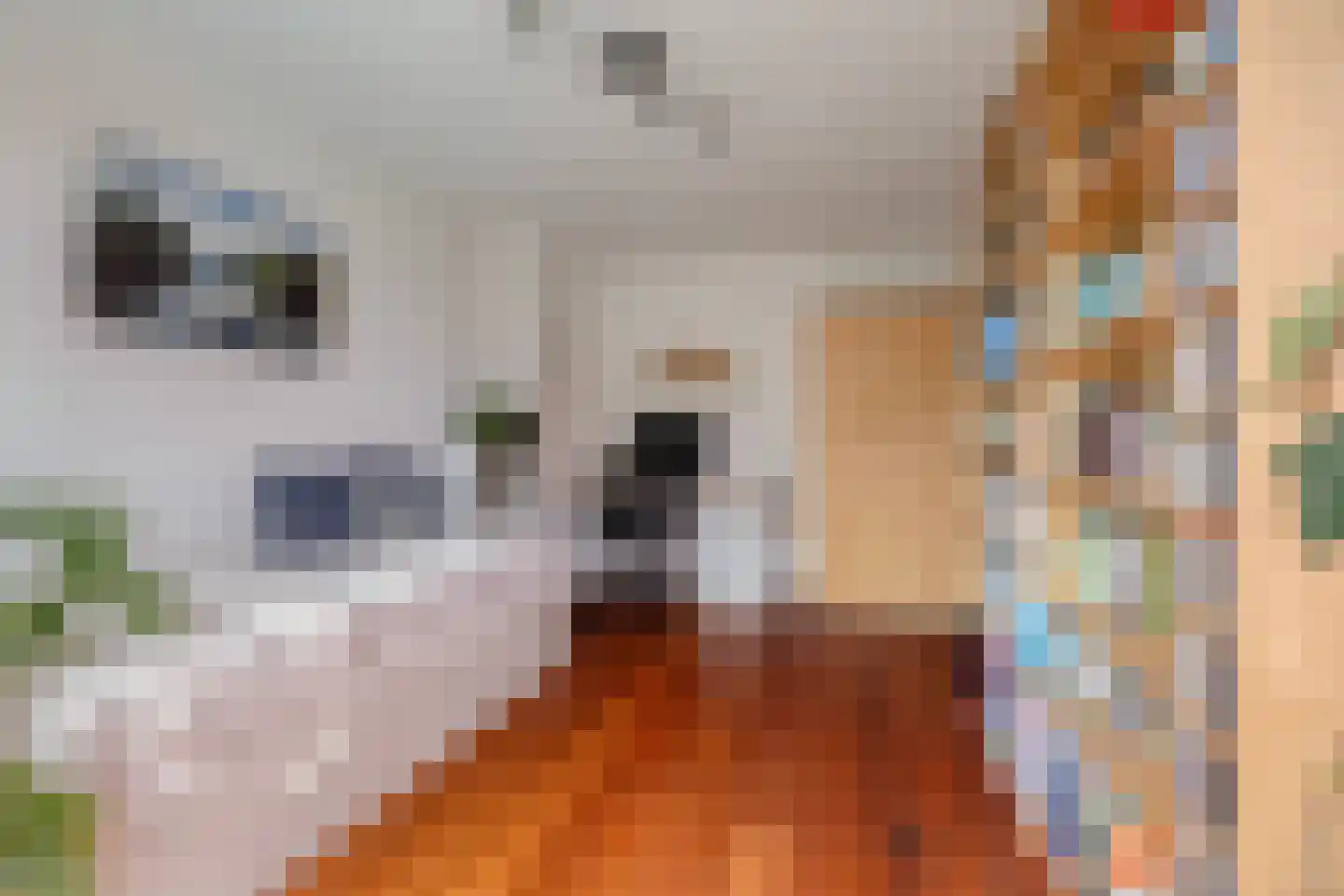 Emmakade 32 Amstelveen thumbnail 35