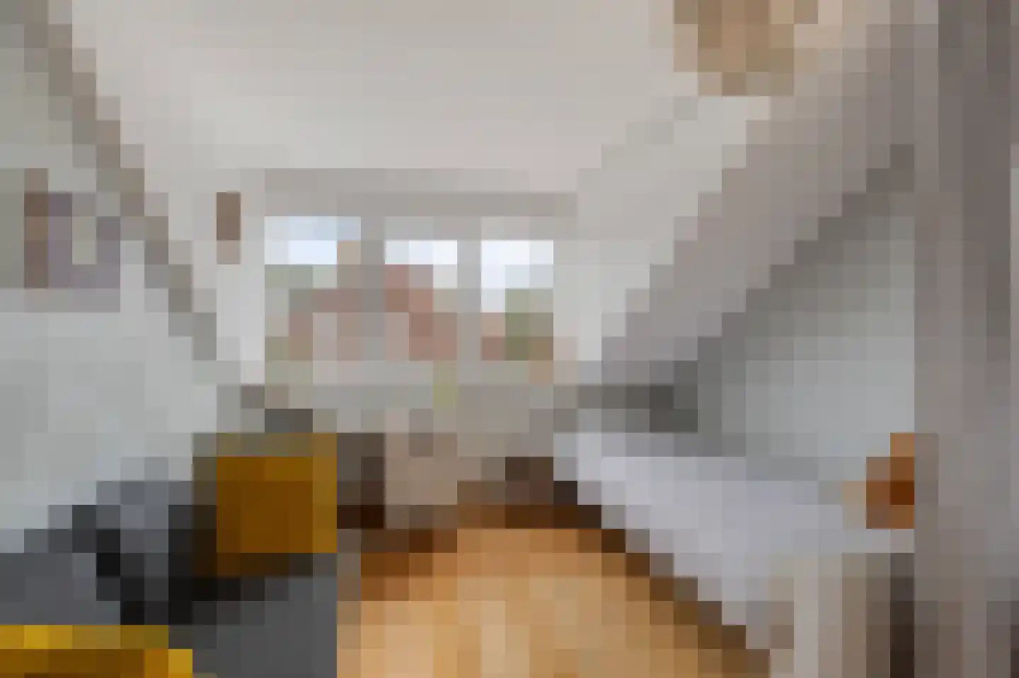 Emmakade 32 Amstelveen thumbnail 38