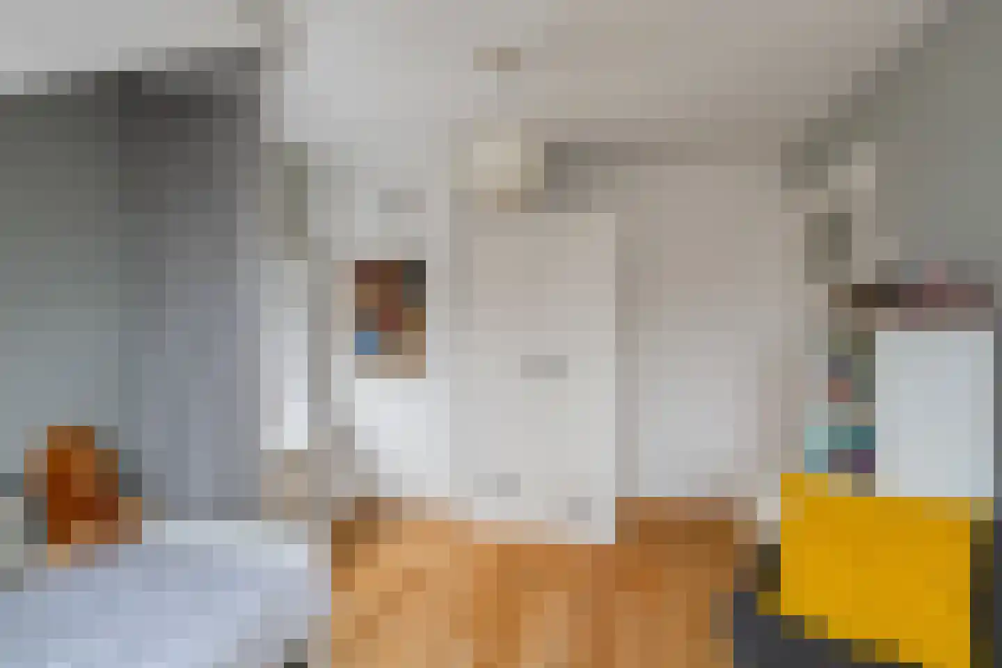 Emmakade 32 Amstelveen thumbnail 39