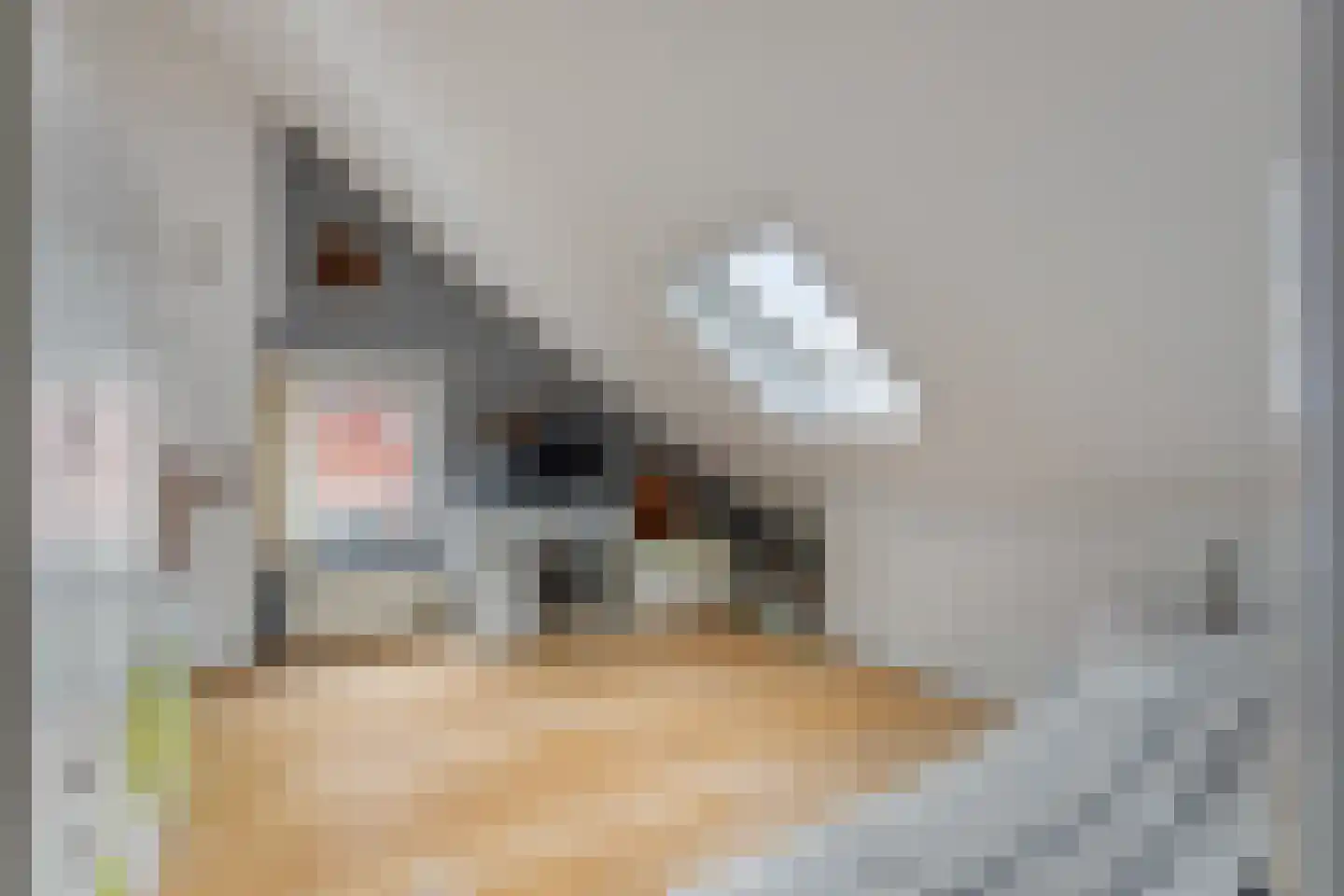 Emmakade 32 Amstelveen thumbnail 43