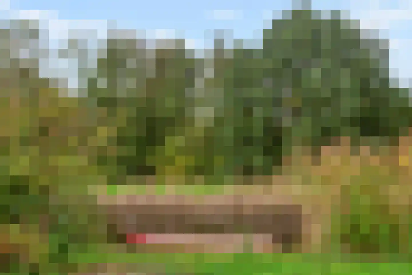 Emmakade 32 Amstelveen thumbnail 48