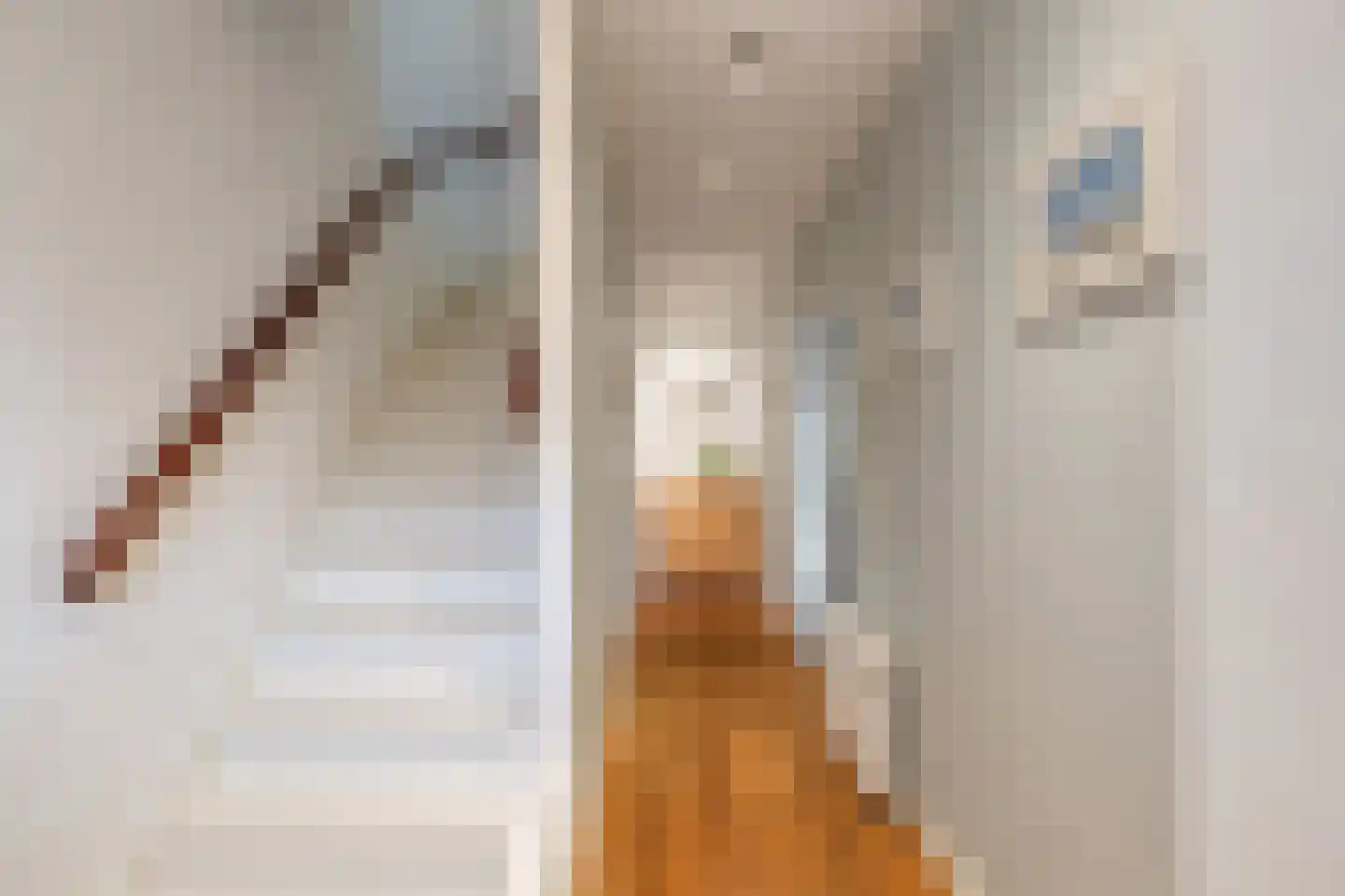 Emmakade 32 Amstelveen thumbnail 7