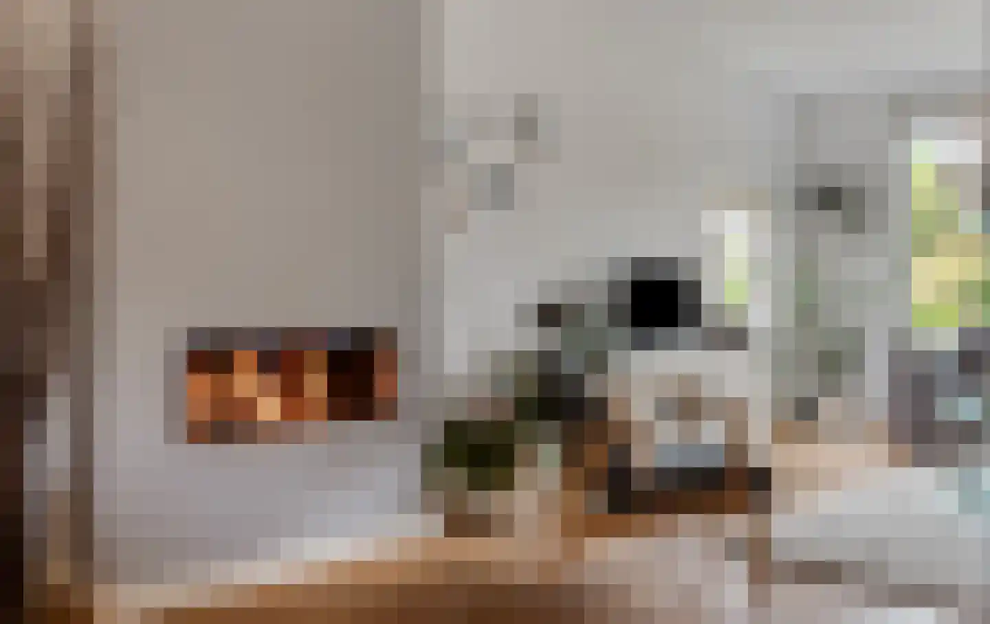Emmakade 32 Amstelveen thumbnail 8