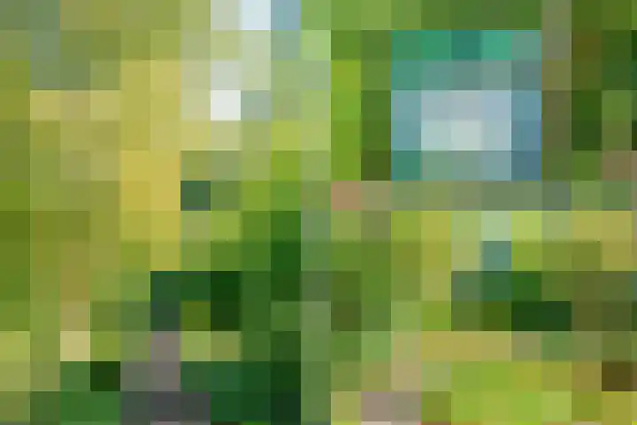 Emmakade 33 BV Amstelveen thumbnail 31