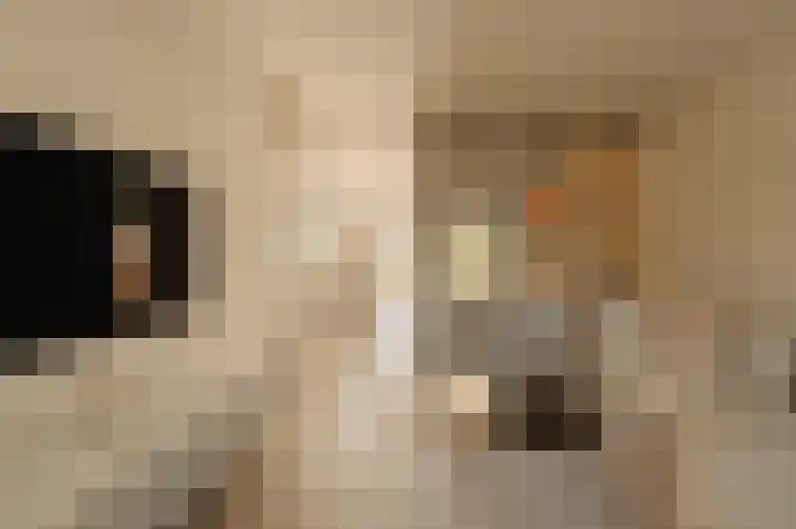 Emmakade 4 Amstelveen thumbnail 13