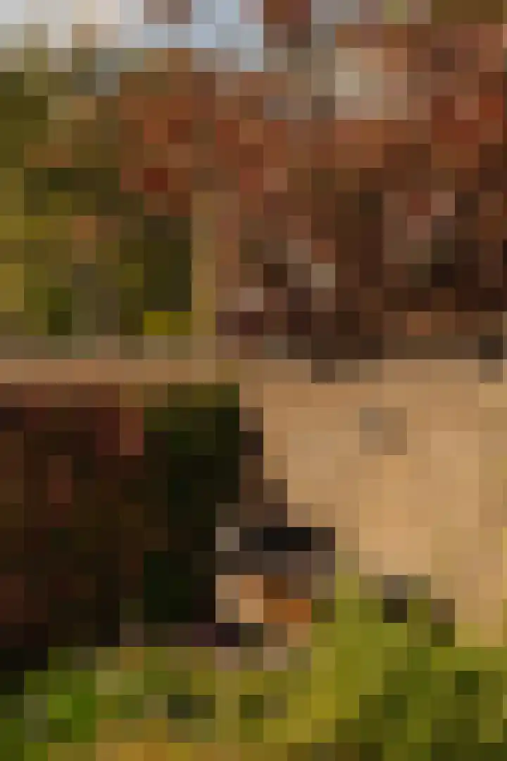 Emmakade 4 Amstelveen thumbnail 17