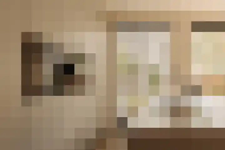 Emmakade 4 Amstelveen thumbnail 5