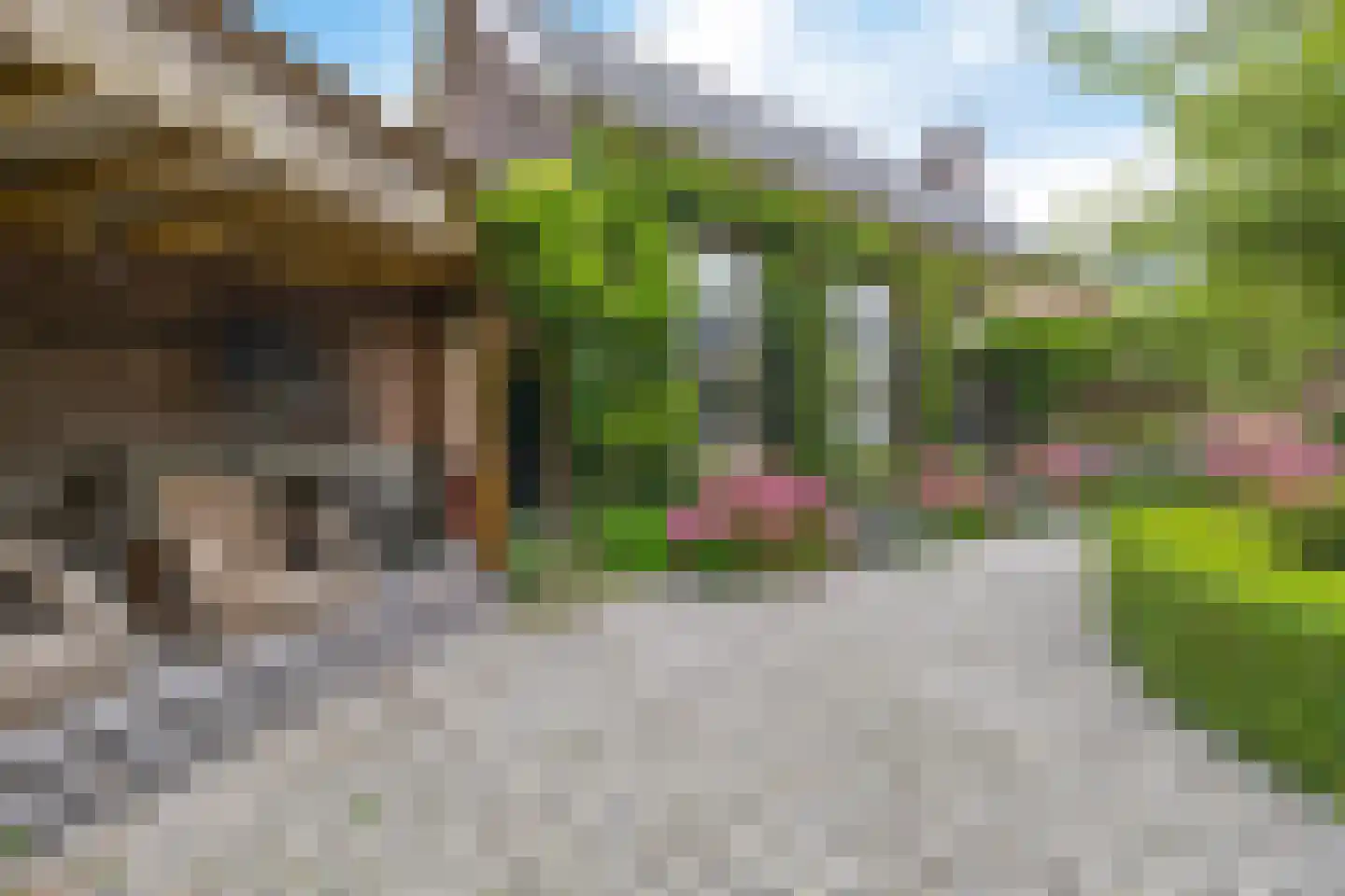 Emmakade 5 Leeuwarden thumbnail 4
