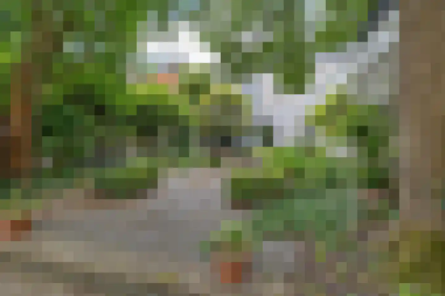 Emmakade 5 Leeuwarden thumbnail 62