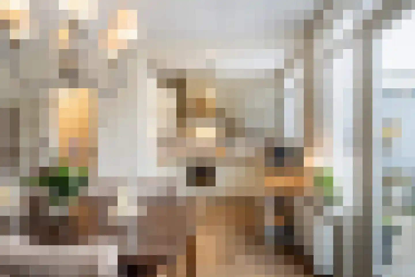Emmakade 5 Vlaardingen thumbnail 20