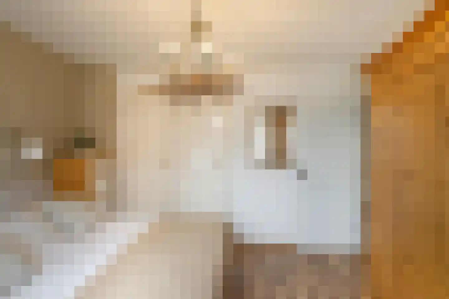 Emmakade 5 Vlaardingen thumbnail 37